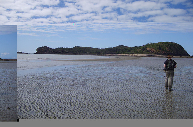 Cape Hillsborough National Park by Rob and Stephanie Levy on Flickr